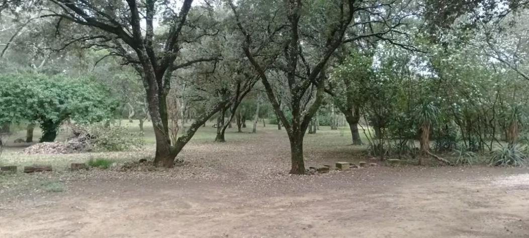 ור פון דו גאר Tente Safari Au Pont Du Gard מראה חיצוני תמונה